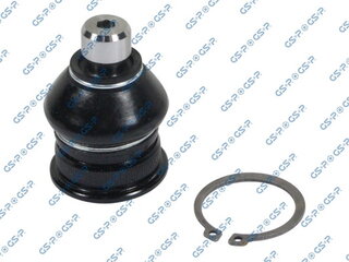 GSP S080581