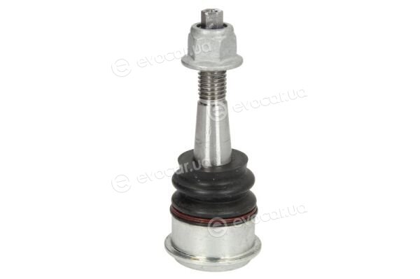 Reinhoch RH03-5018