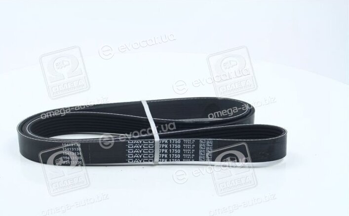 Dayco 7PK1750
