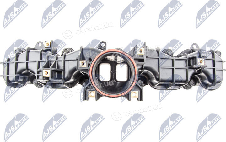 NTY BKS-FR-008