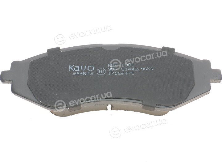 Kavo KBP-1008