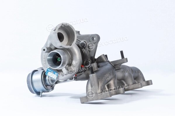 BorgWarner 54399900029