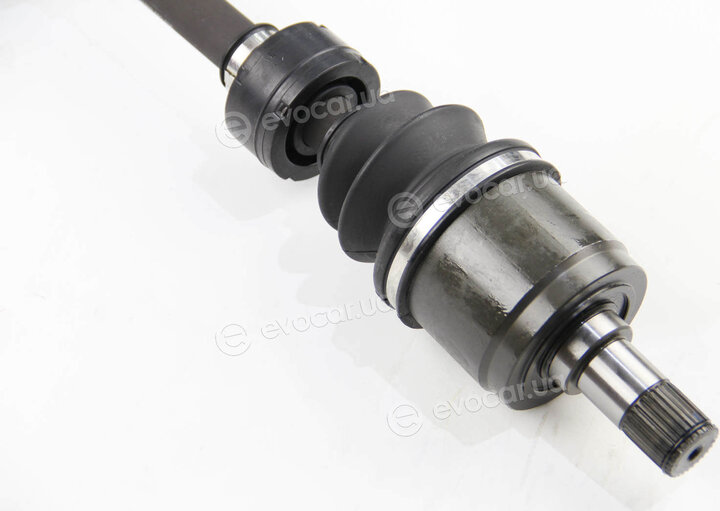 BGA DS2520L