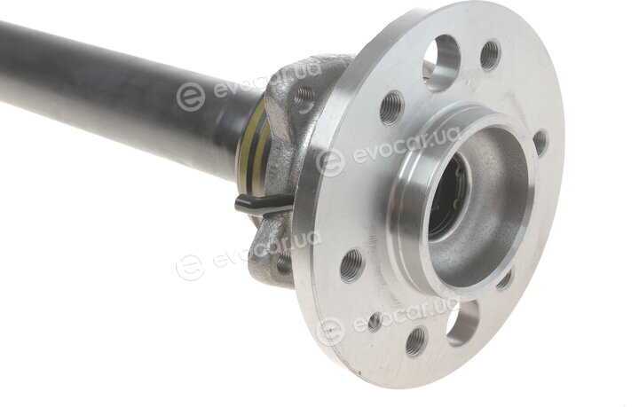Solgy 216003