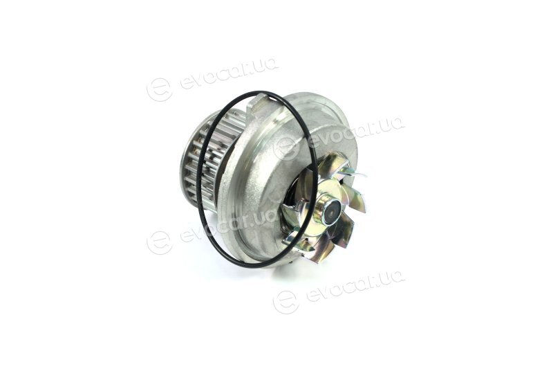 Metelli 24-0572