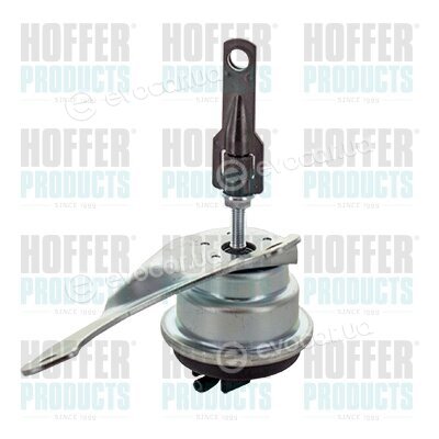 Hoffer 6601532