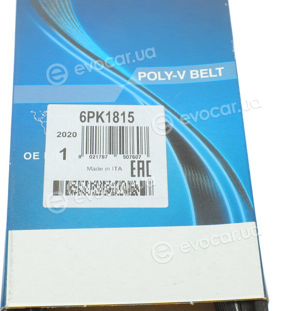Dayco 6PK1815
