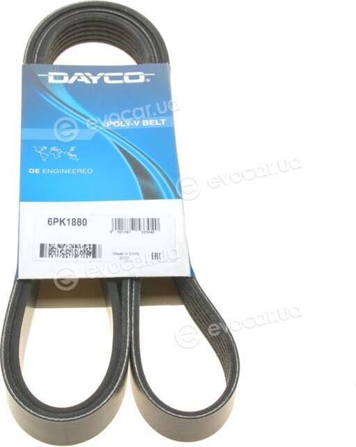 Dayco 6PK1880