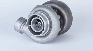 BorgWarner 317844