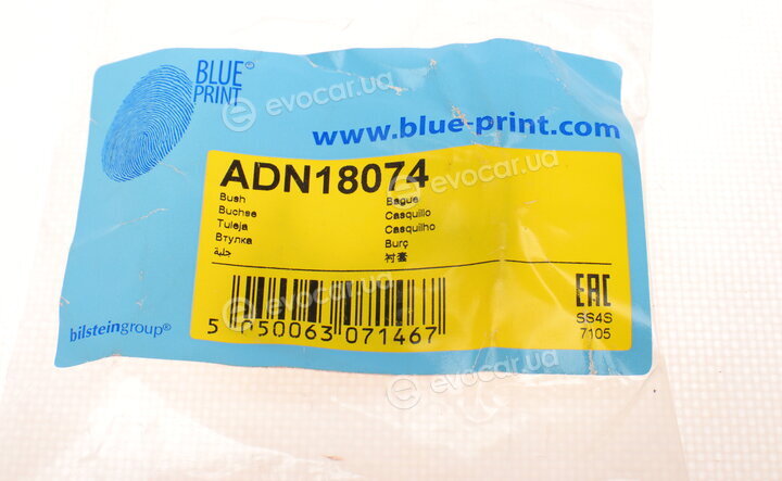 Blue Print ADN18074