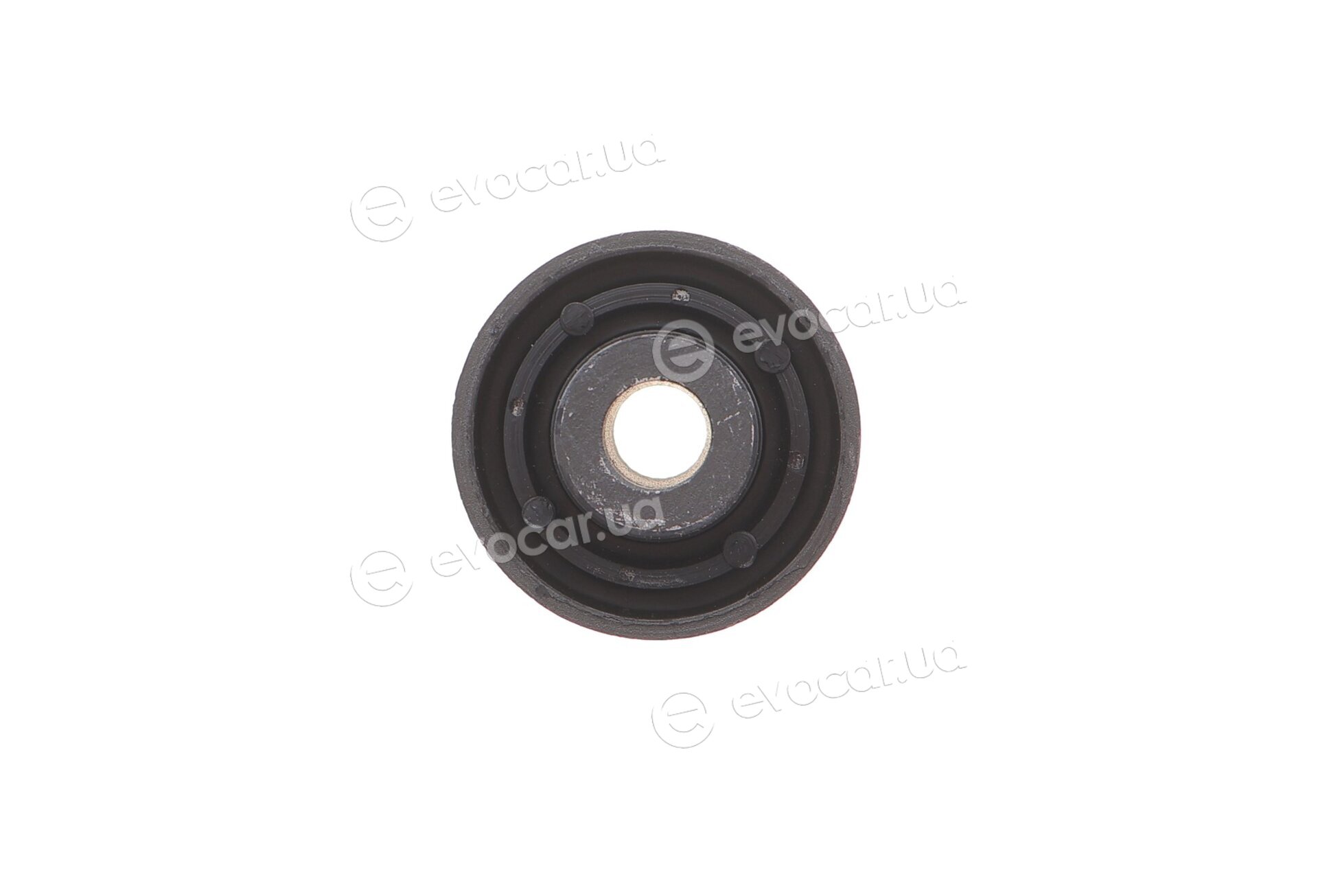 Belgum BG0319