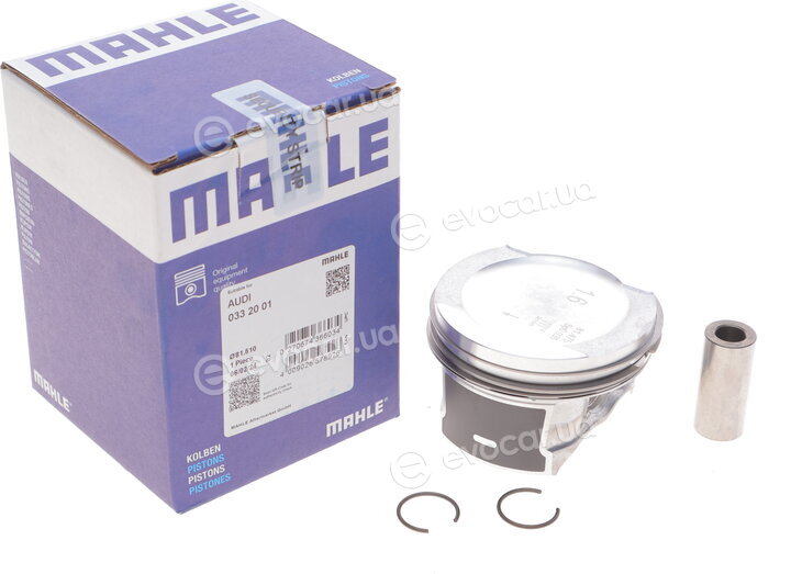 Mahle 033 20 01
