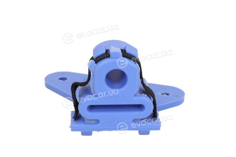 Sasic 2950025