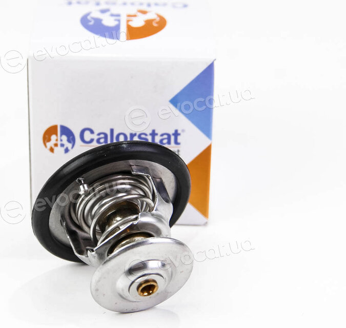Vernet / Calorstat TH5750.92J