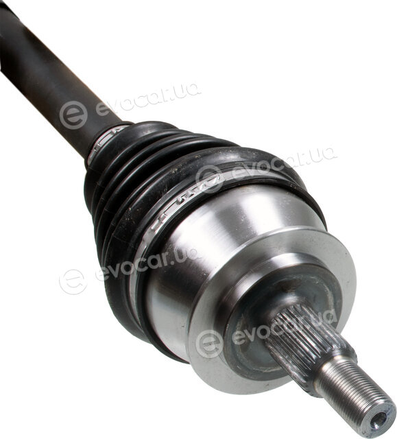 Febi 183819