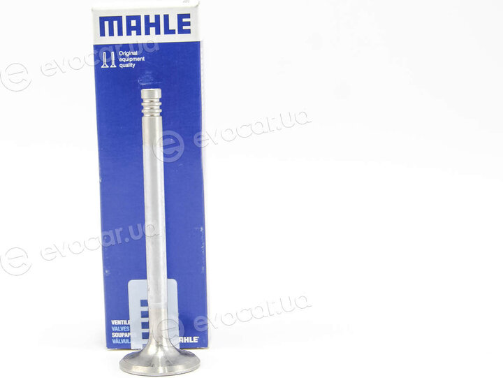 Mahle 013 VA 30935 100