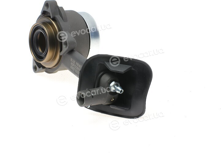 Blue Print ADF123605