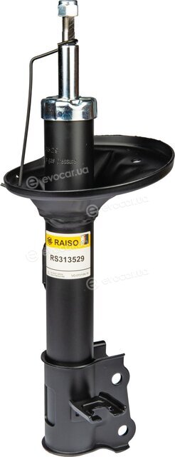 Raiso RS313529