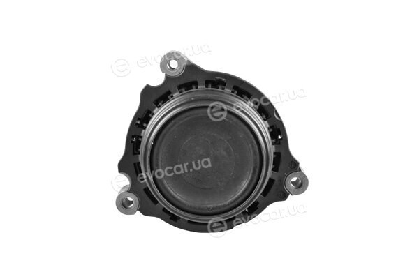 Tedgum TED98788