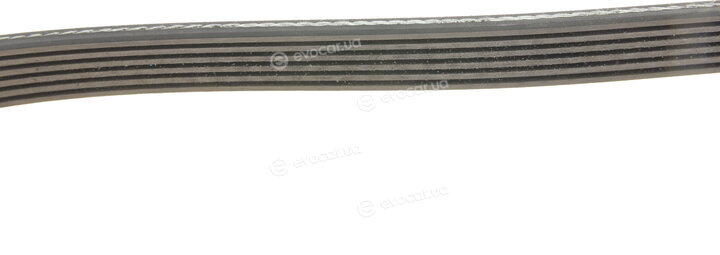 Gates 6PK2550