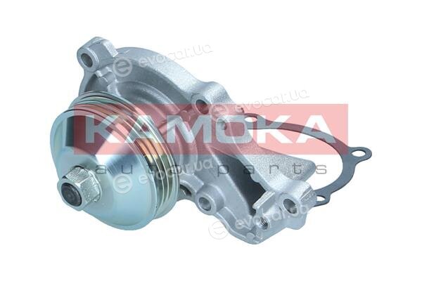 Kamoka T0295