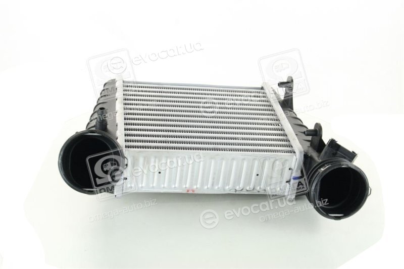 Van Wezel 58004238