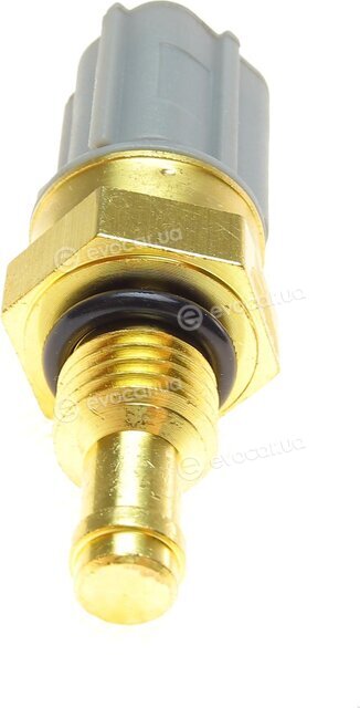 Blue Print ADBP720005
