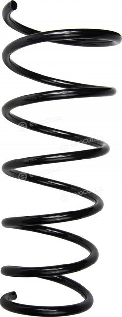Raiso SF073TP