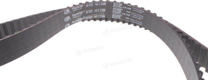 Gates K055678XS