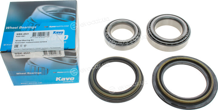 Kavo WBK-4541