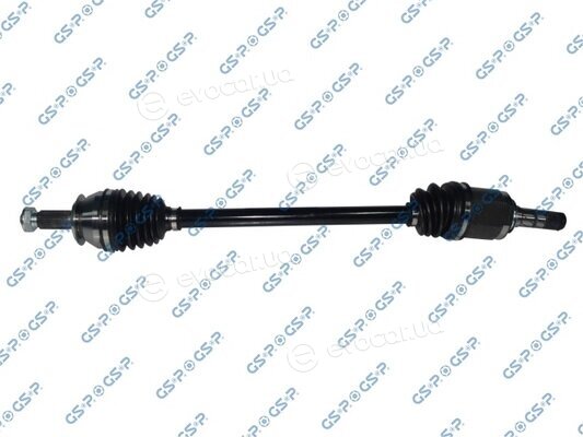 GSP 256068
