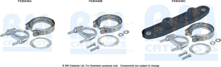 BM Catalysts FK80446