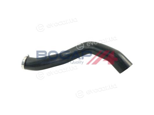Bogap A1711186