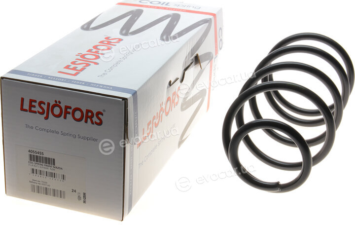 Lesjofors 4055455
