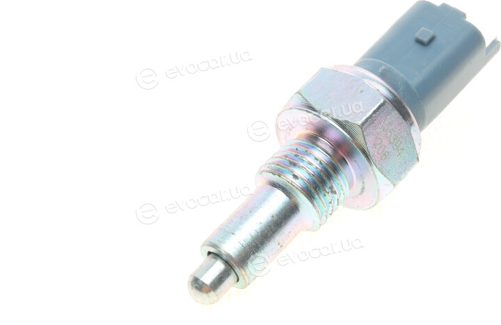 AIC 55394