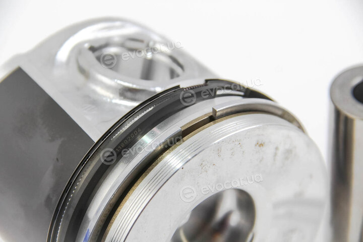 Mahle 009 89 01
