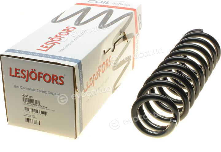 Lesjofors 4259273