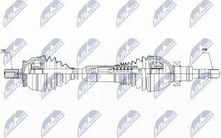 NTY NPW-VV-016