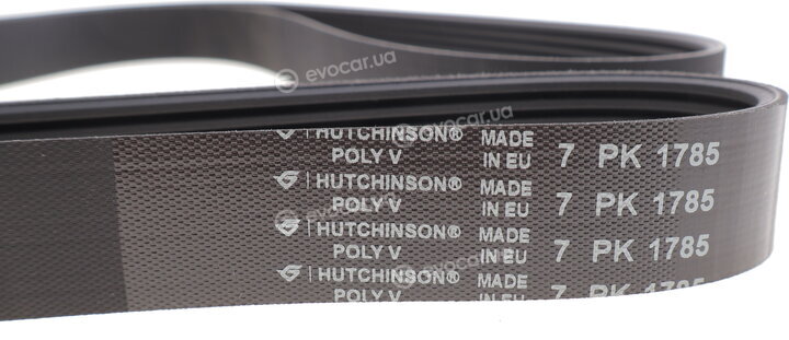 Hutchinson 1785 K 7