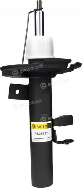 Raiso RS256379