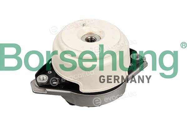 Borsehung B12656