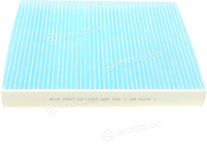 Blue Print ADF122528