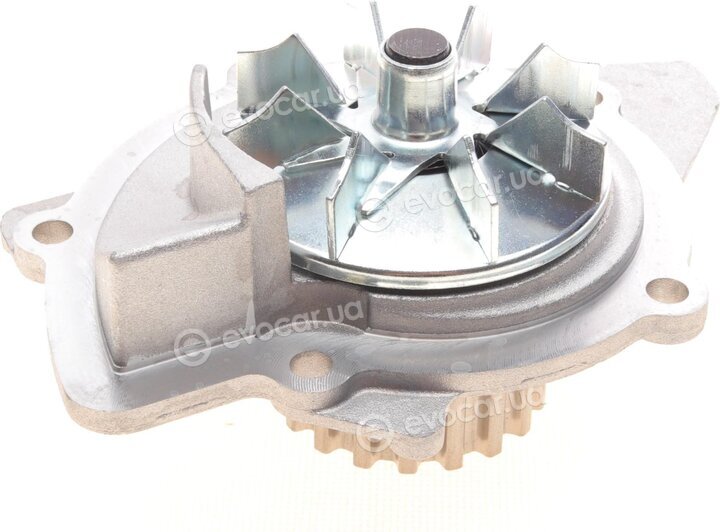 Continental CT1091WP1