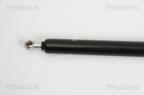 Triscan 8710 38225