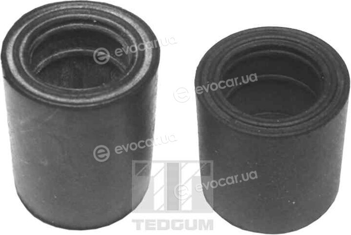 Tedgum 00745061