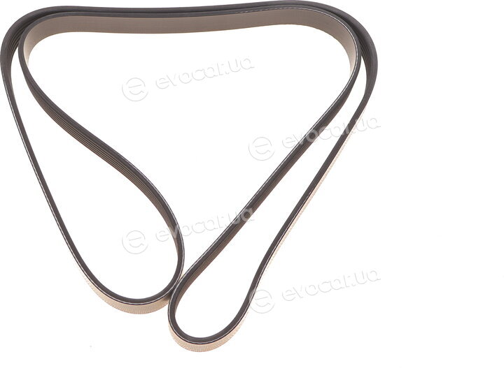 Dayco 6PK1655
