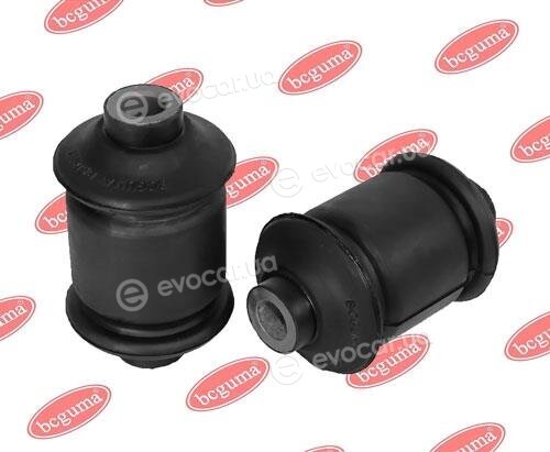 BC Guma 0261