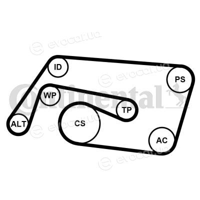 Continental 6PK2260K2