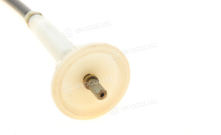AIC 50981