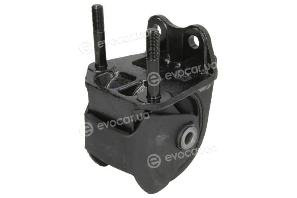 Reinhoch RH11-0155